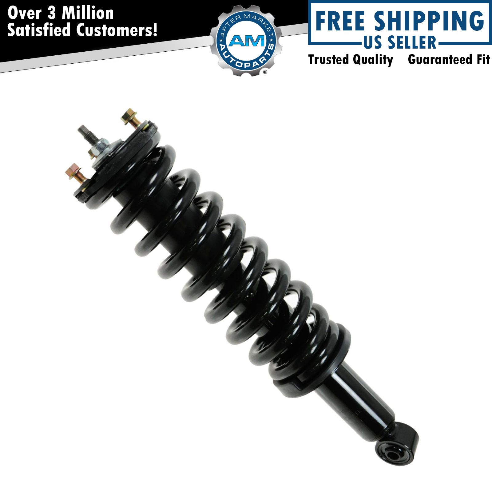 <b>Strut & Spring Assembly</b>