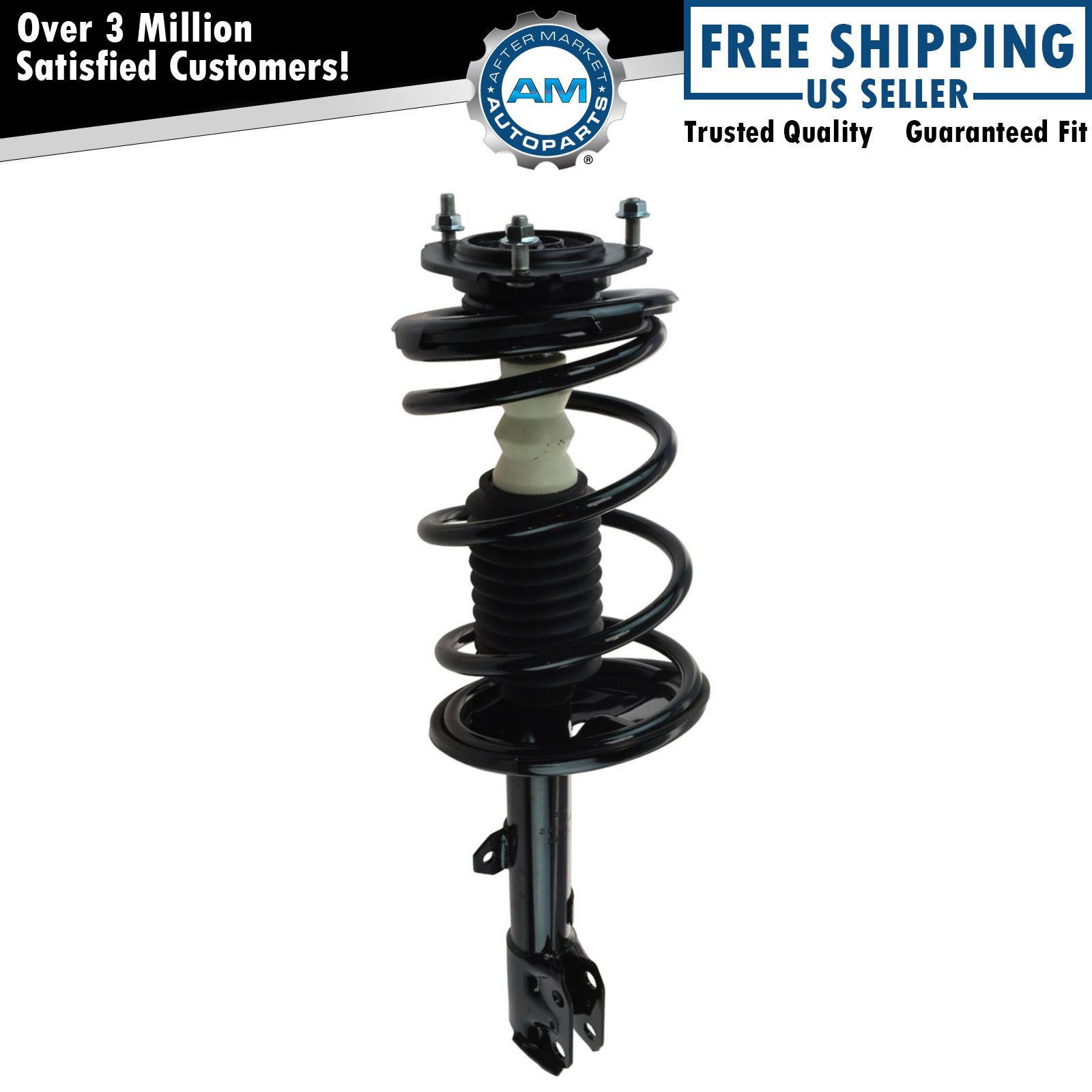 <b>Strut & Spring Assembly</b>